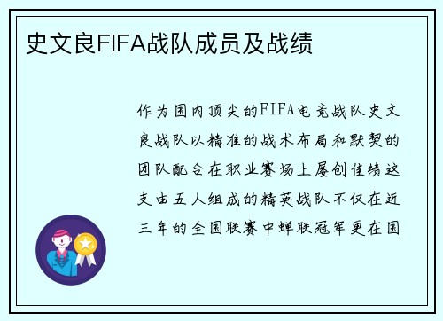 史文良FIFA战队成员及战绩