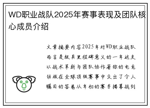 WD职业战队2025年赛事表现及团队核心成员介绍
